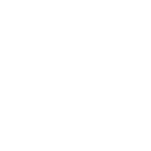 RG Pleiades Noida Extension 
